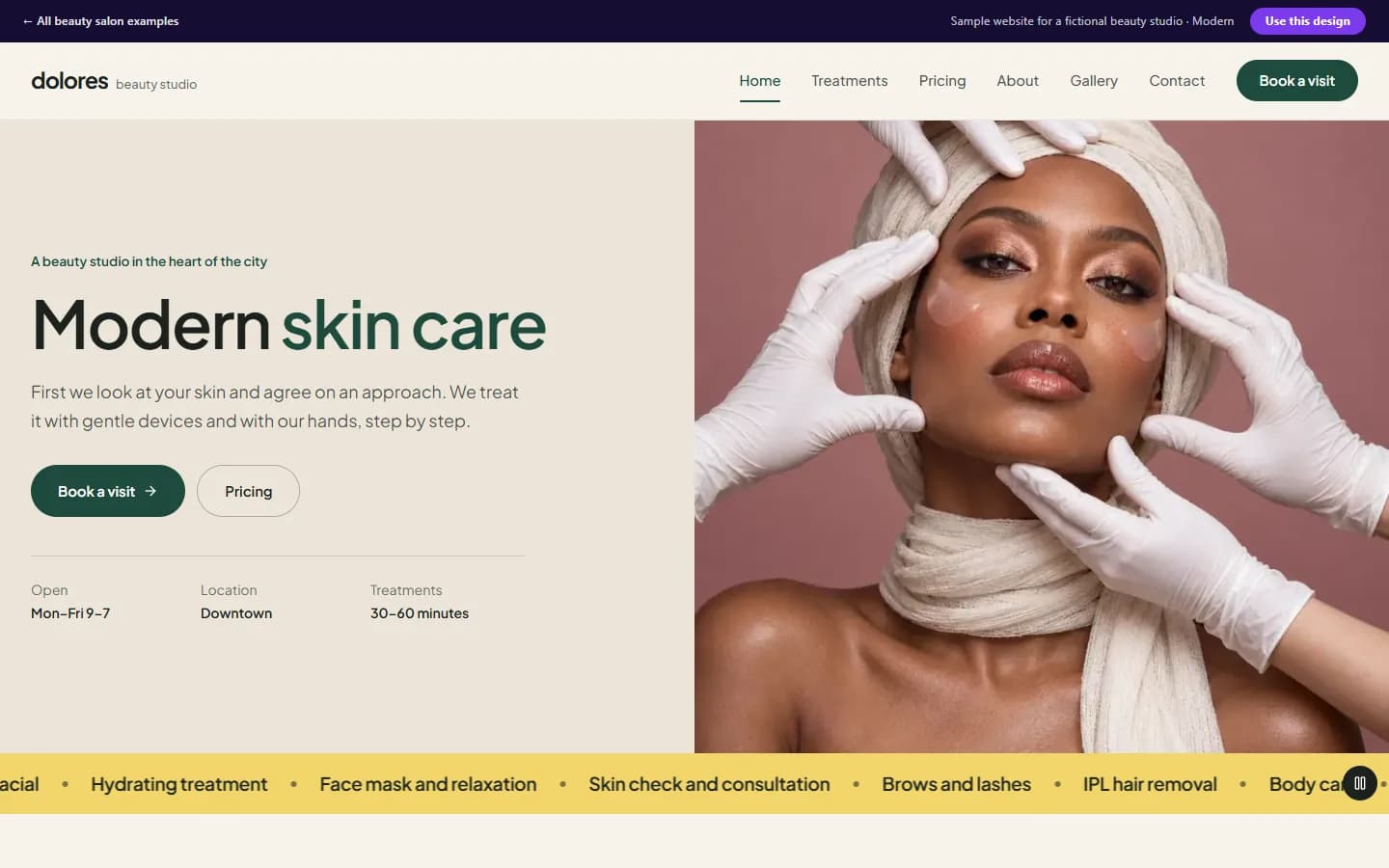 Preview of the beauty salon sample website, Modern design